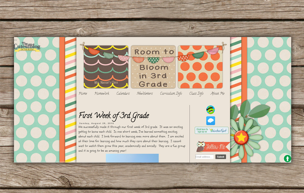 room to bloom in third grade